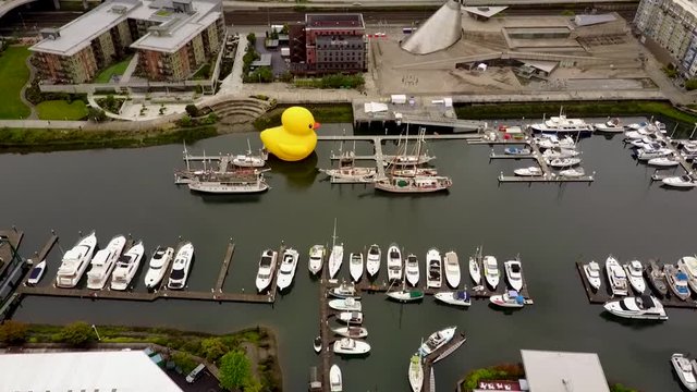 Giant yellow rubber duck floating by the waters where many shipping vessels also docking in Thea Foss Waterway in Tacoma, Washington, USA - aerial shot