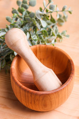 Wooden mortar with a pusher and a branch of eucalyptus