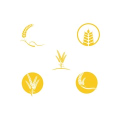 Set Wheat icon Vector Illustration design