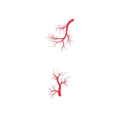 Veins icon Vector Illustration design