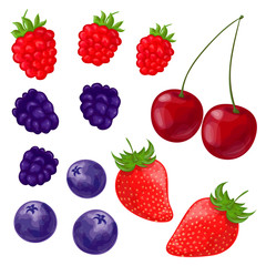 Set of berries painted in a watercolor style. Strawberries, cherries, raspberries, blackberries, blueberries. Isolated vector illustration on a white background.