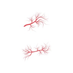 Fototapeta premium Veins icon Vector Illustration design