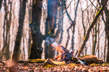 lightening fire in woods