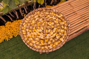 Circle bamboo tray of yellow silk cocoons and butterflies