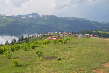 Fototapeta na wymiar Mountain valley village landscape summer. Mountain village view. Village in mountains
