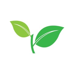 Leaf icon Vector Illustration design Logo