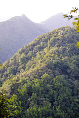 mountains in autumn Madeira Island