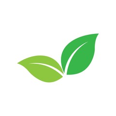 Leaf icon Vector Illustration design Logo