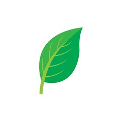 Leaf icon Vector Illustration design Logo