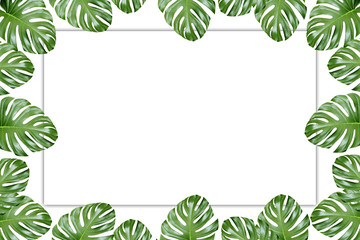 Fototapeta premium Frame made of fresh green tropical leaves on white background. Space for design