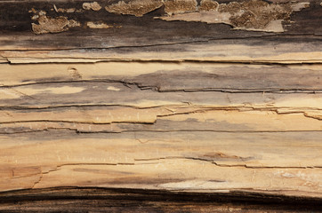The background texture and layers of wood.