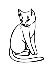 CAT  IN VECTOR