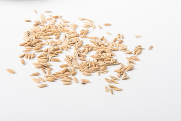 Golden ears of wheat are served in a porcelain bowl on a white background