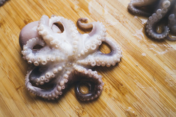 Whole fresh frozen raw octopus on the wooden board