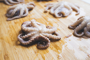 Whole fresh frozen raw octopus on the wooden board