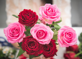 Woman Preparing to trim red and pink roses and beautiful flower arrangements in the home, flower arrangements with vase for gift-giving for Valentine's Day and Business in the family on the on table