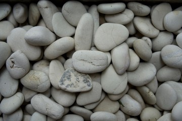 Fototapeta na wymiar The full frame image of Sea Ivory White Pebbles, Photographed at close range, outdoor, suitable for wallpaper and background.