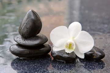 Obraz na płótnie Canvas White orchid and black stones close up.