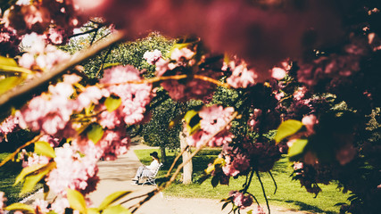 Young girl relaxing on bench in spring nature park at sunny day. At distance view through branches...