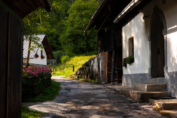 Fototapeta na wymiar View of Slovenian chalet in Stara Fuzina, Slovenia