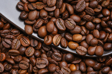 Roasted coffee bean background, top view