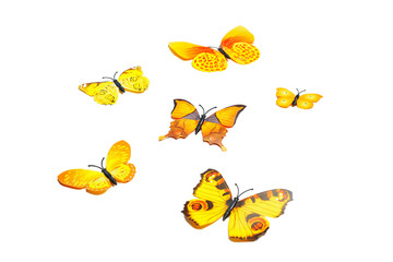 Fototapeta na wymiar Flock of yellow lying butterflies isolated on white