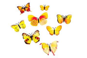 Collection of plactic colorful butterfly isolated on white background