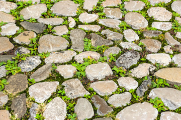 View of cobblestone on the streets of Udine, Italy.
