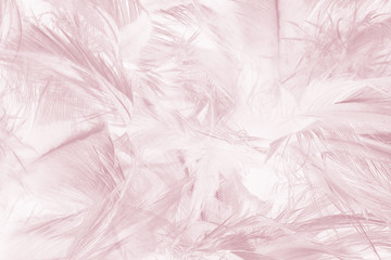 Beautiful lines violet - mauve mist colors tone feather texture background, pastek trends color