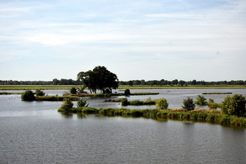 Holler-Hammrich Naturschutzgebiet