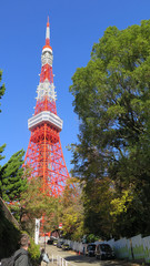 Red and white Tokyo Tower