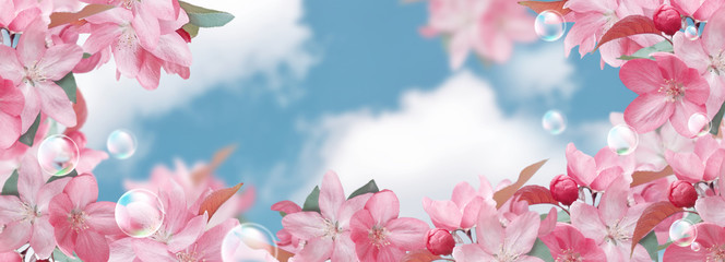 Panele Szklane  Różowe kwiaty sakury i bańki mydlane na tle chmurnego nieba