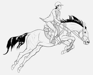 Rider on horseback overcomes a fence on show jumping course. Black and white Illustration of a stallion and sportswoman perform at competition. Vector linear clip art for equitation.