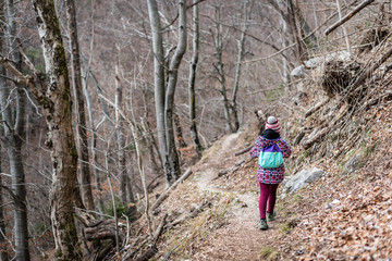 Fototapeta na wymiar Children hiking in the mountains or woods on family trip.