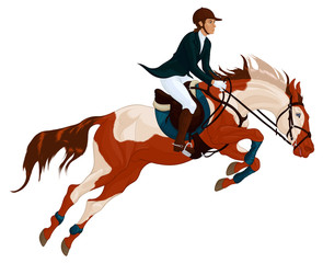 Rider on horseback overcomes a fence on show jumping course. Illustration of a pinto stallion and sportswoman perform at competition. Vector clip art for cross-country equestrianism and equitation.