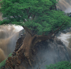 waterfall in savannah in namibia