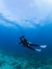 Fototapeta na wymiar Scuba divers dive underwater