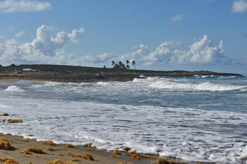 waves break on the shore. Atlantic ocean. Dominican Republic
