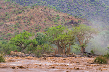 a landscape of savannah in namibia