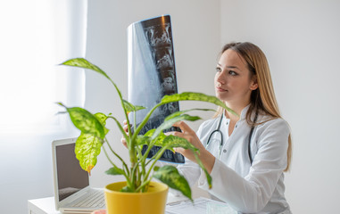 Young female doctor looking at the x-ray picture in her office