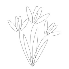 Flowers drawing on white background vector illustration