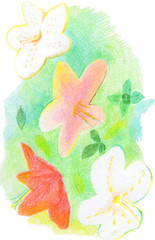 柔らかいタッチと色合いの、夏の花、ツツジの色鉛筆画の植物画