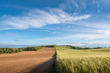 Fototapeta na wymiar Wide view of fields of fallowed farmland and green wheat underneath big sky in the French countryside