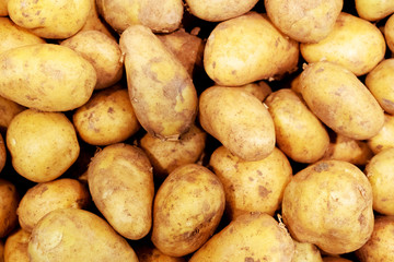 Top view on fresh washed potatoes. Texture of food products. Background of potato tubers