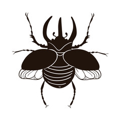 Rhinoceros beetle isolate on a white background. Vector graphics.