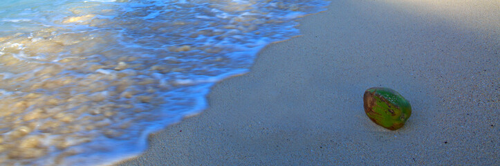Green coconut on the caribbean beach.