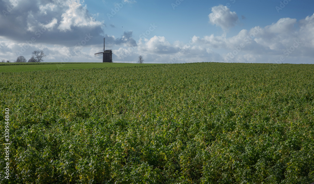 Wall mural Horebeke East Flanders Geuzenhoek. Windmill in field at hill