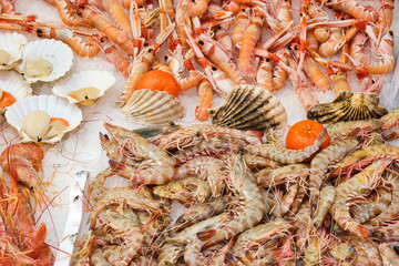 Shrimps and prawns for sale at a market in Rome, Italy