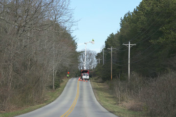 lineman trimming trees around power lines