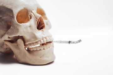 A human skull on a white background with a cigarette in its mouth.